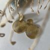 Boucles d'oreilles cercles dorés - Sunny – Image 3