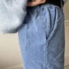 pantalon velours bleu
