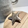 broche étoile dorée