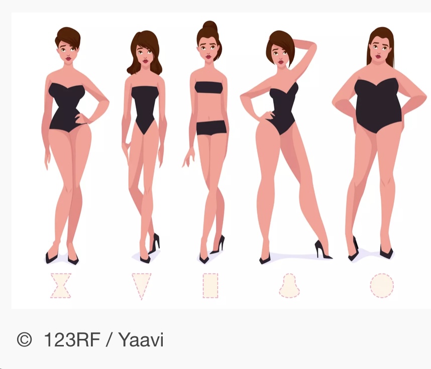 les différentes morphologies